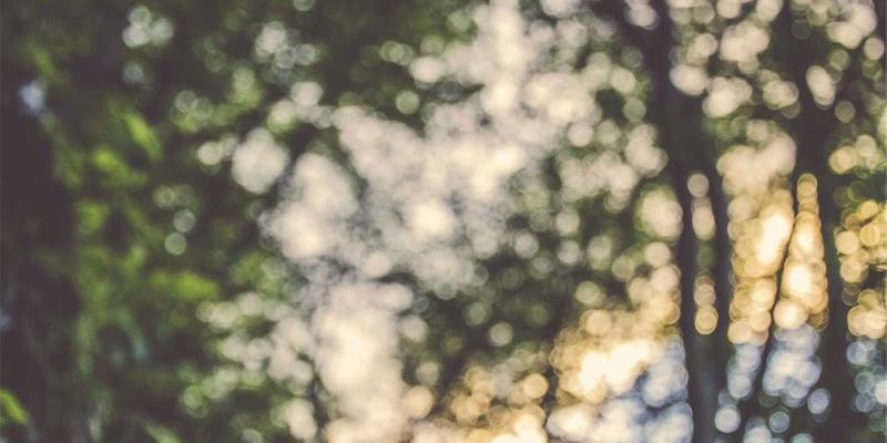 七大洲70国旅行者亲述：非洲旅游终极攻略与跨洲旅行智慧