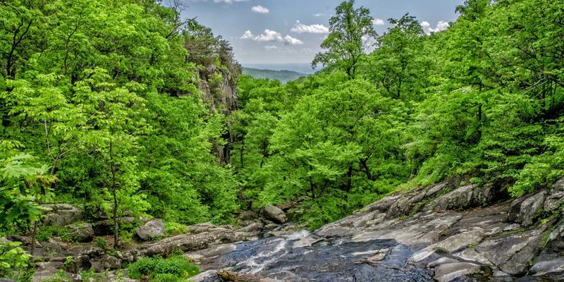 七大洲探秘：从非洲的狂野到南极的纯净，解锁地球的壮丽拼图