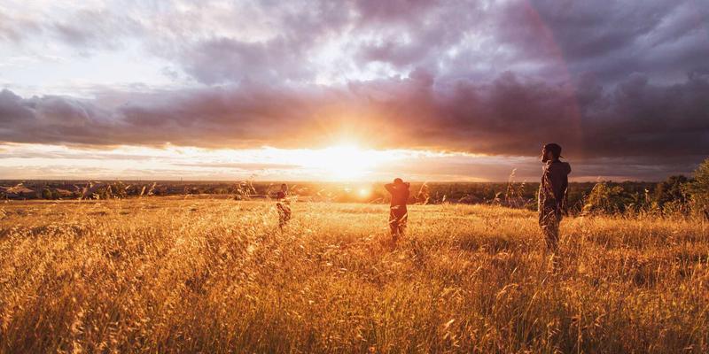 七大洲旅行终极指南：从非洲探险到环球攻略