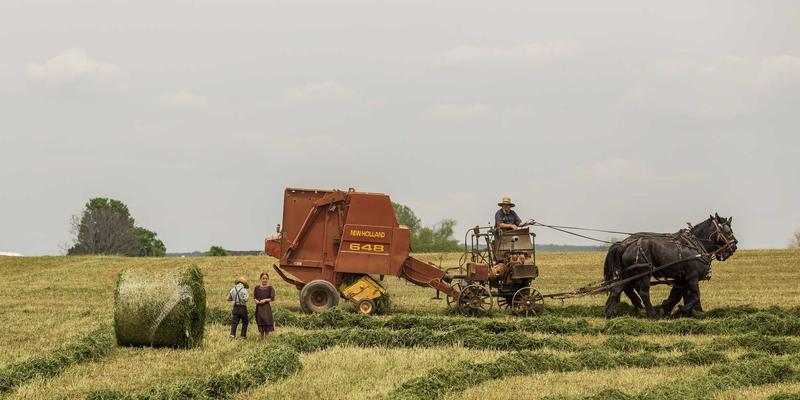 七大洲极端环境生存智慧：从欧洲阿尔卑斯到亚洲戈壁的千年适应策略