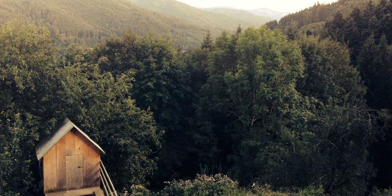 七大洲气候的遥远舵手：探秘南北极在全球系统中的关键作用与旅游启示