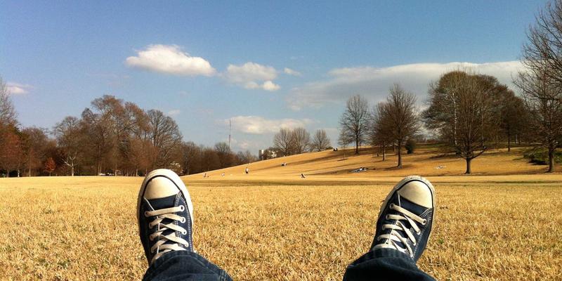 七大洲特有动物图鉴：从澳洲袋鼠到南美洲树懒的演化奇迹 | 探索非洲、大洋洲与南极洲旅游的生态密码