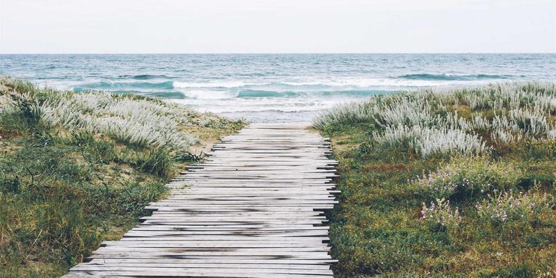 七大洲环球旅行终极指南：从非洲原野到世界尽头的探险