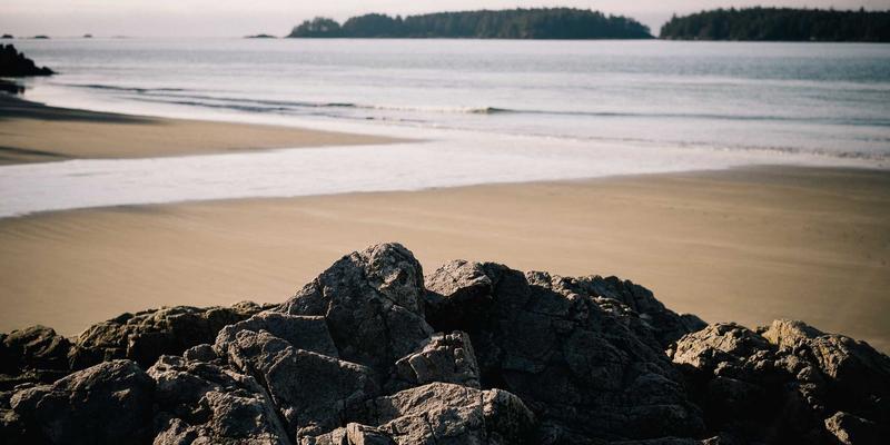 七大洲生物多样性热点巡礼：从亚马逊雨林到南极洲旅游的生态挑战