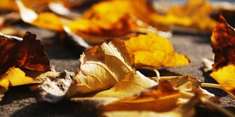 从南极冰芯到七大洲旅行：解码全球古气候变迁的时空密码