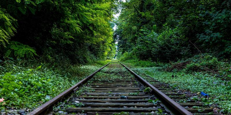 从大洋洲到南极洲：语言图谱揭示的旅游密码与殖民印记