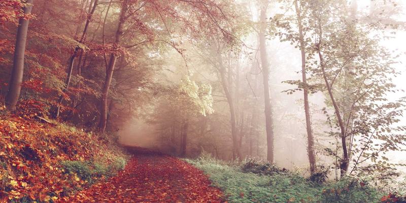 从安第斯山脉到全球视野：印加梯田的垂直农业智慧对欧洲与非洲旅游的启示