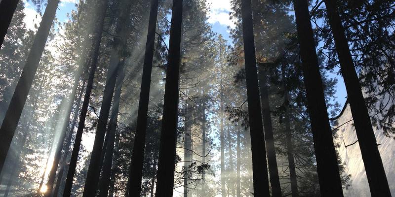 从环球旅行视角看大洋洲岛屿国家：海平面上升下的生存智慧与旅行启示