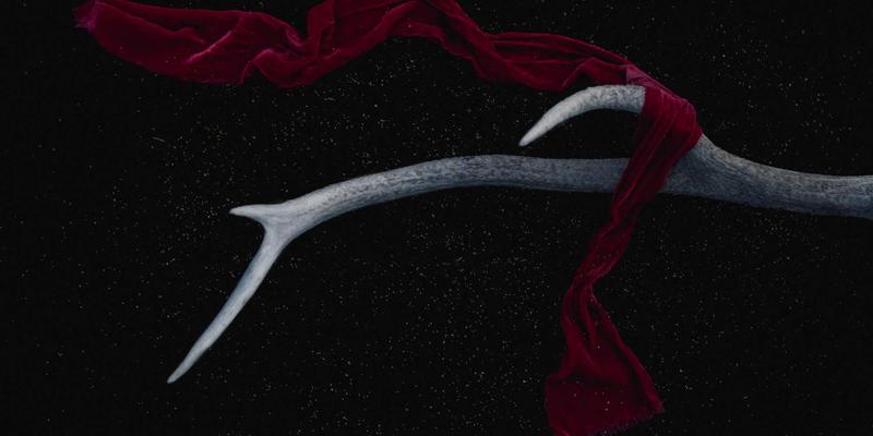 南极洲旅游新发现：冰盖下古老微生物如何改写生命起源认知