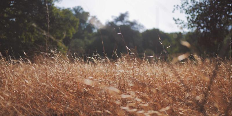 跨越七大洲的旅行灵感：南美、非洲与欧洲的极致体验